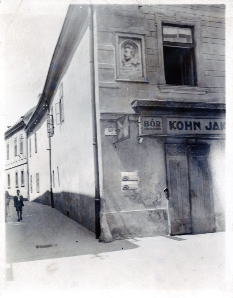 Birthplace of Ignaz Goldziher at Székesfehérvár